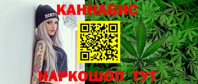 МДПВ Бийск