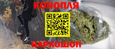 МДПВ Бийск