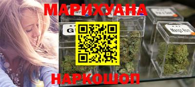 МДПВ Бийск