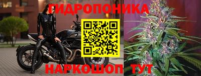 эйфоретик Беслан
