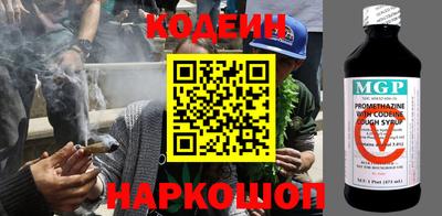 МДПВ Бийск