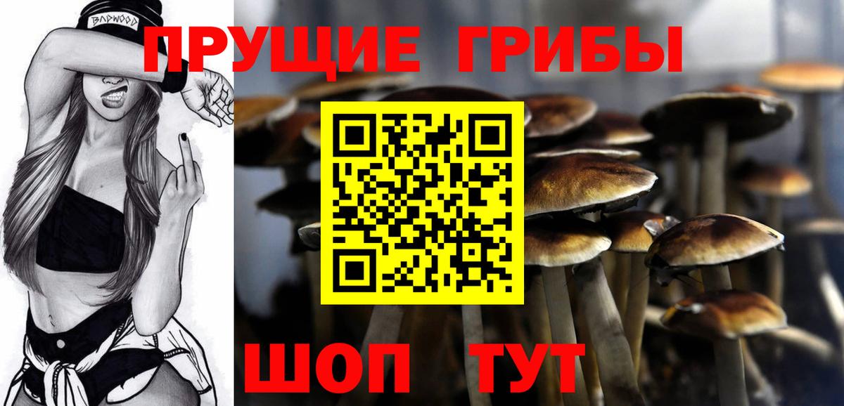 где купить наркоту  Вход с VPN  Галлюциногенные грибы Cubensis  Гулькевичи  Псилоцибиновые грибы Psilocybe 