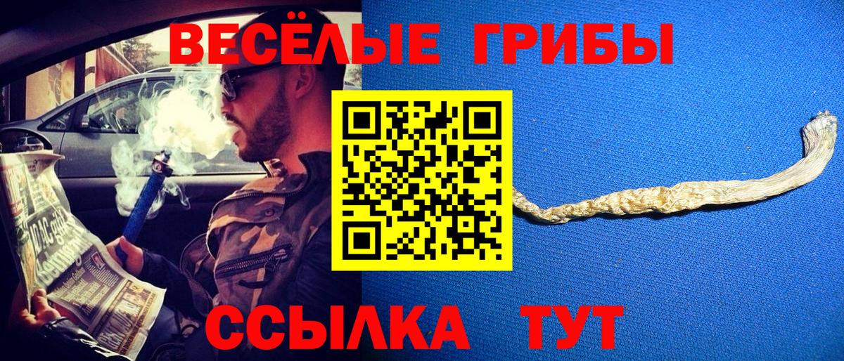 Галлюциногенные грибы мицелий Гулькевичи